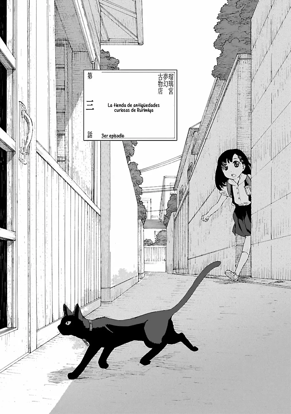 Rurimiya Mugen Kobutsuten Capítulo 3 - Page 3