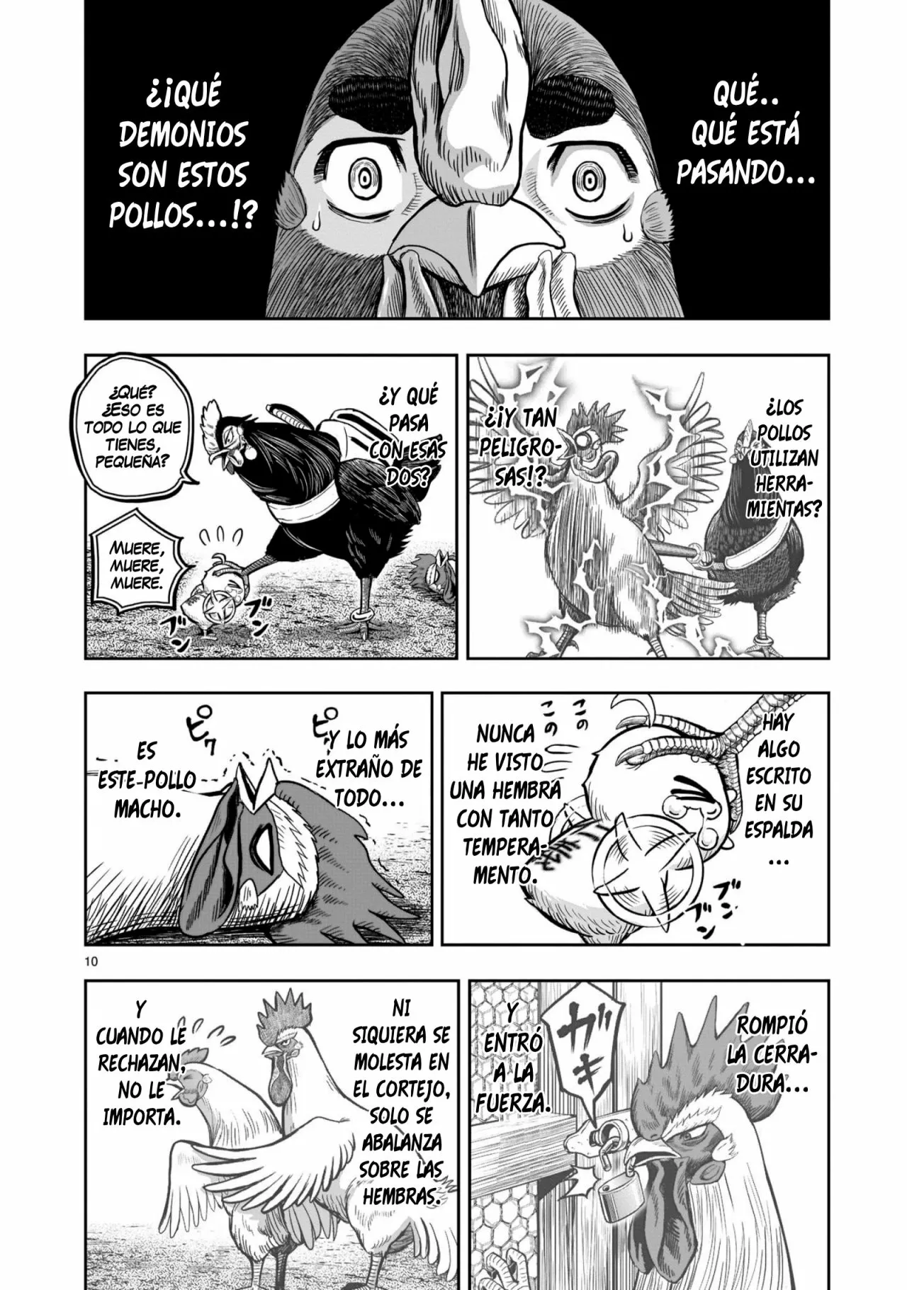 Niwatori Fighter Capítulo 11 - Page 11