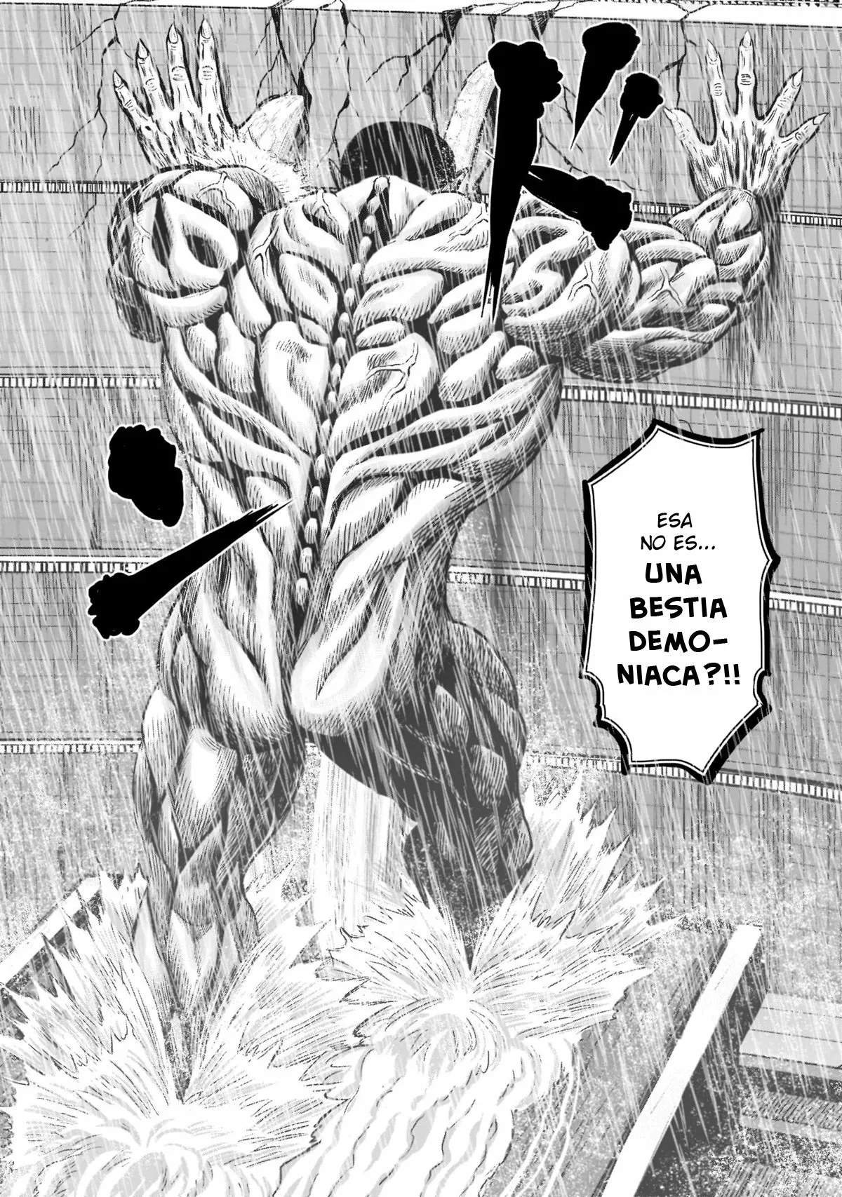 Niwatori Fighter Capítulo 14 - Page 18