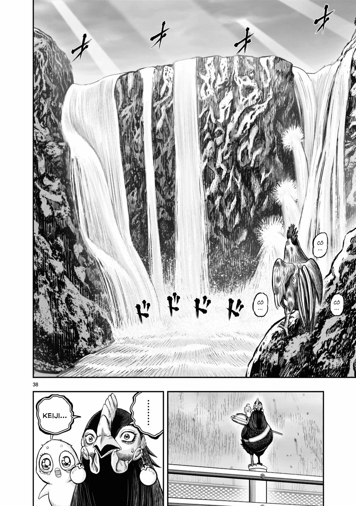 Niwatori Fighter Capítulo 15 - Page 38