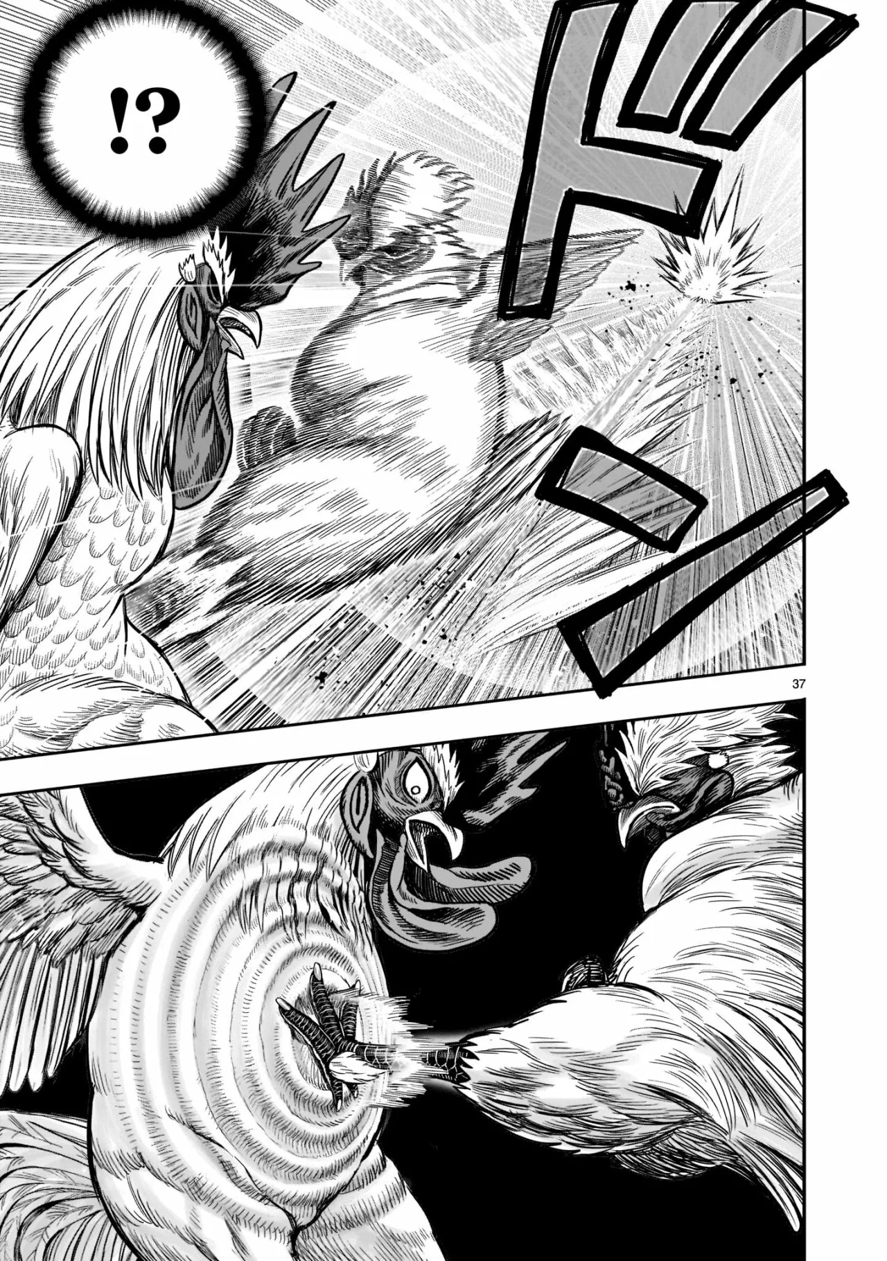 Niwatori Fighter Capítulo 19 - Page 38