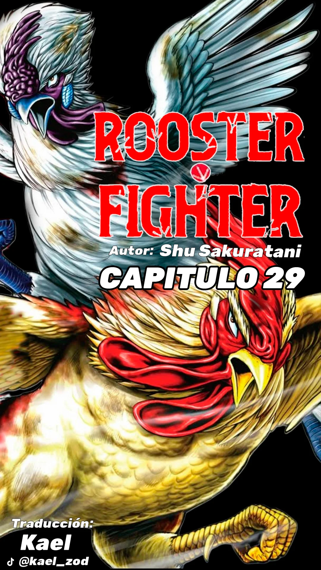 Niwatori Fighter Capítulo 29 - Page 2