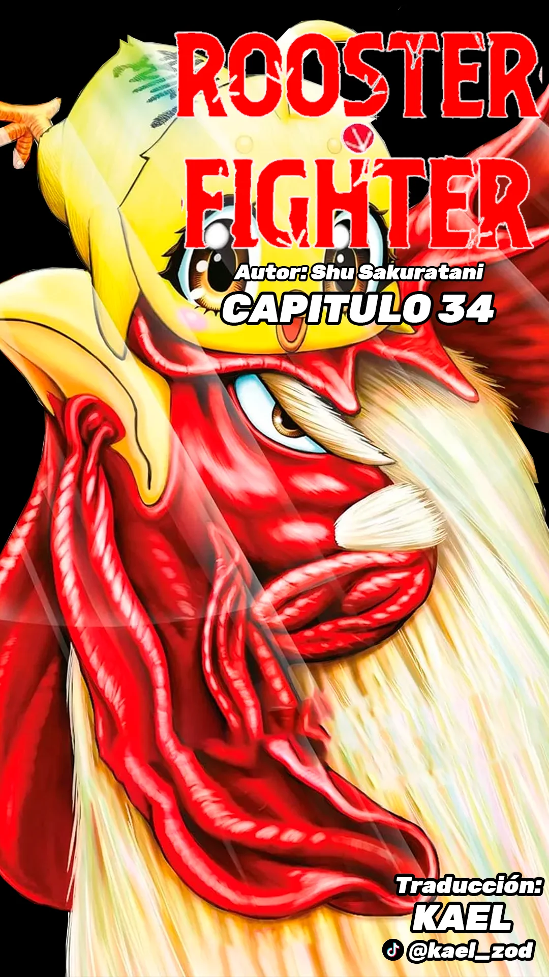 Niwatori Fighter Capítulo 34 - Page 2