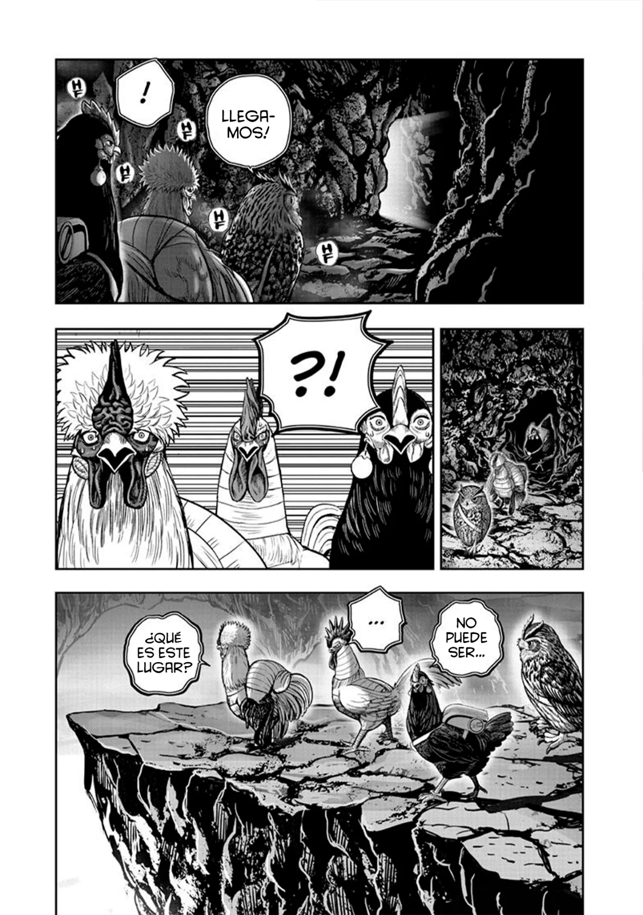 Niwatori Fighter Capítulo 43 - Page 14