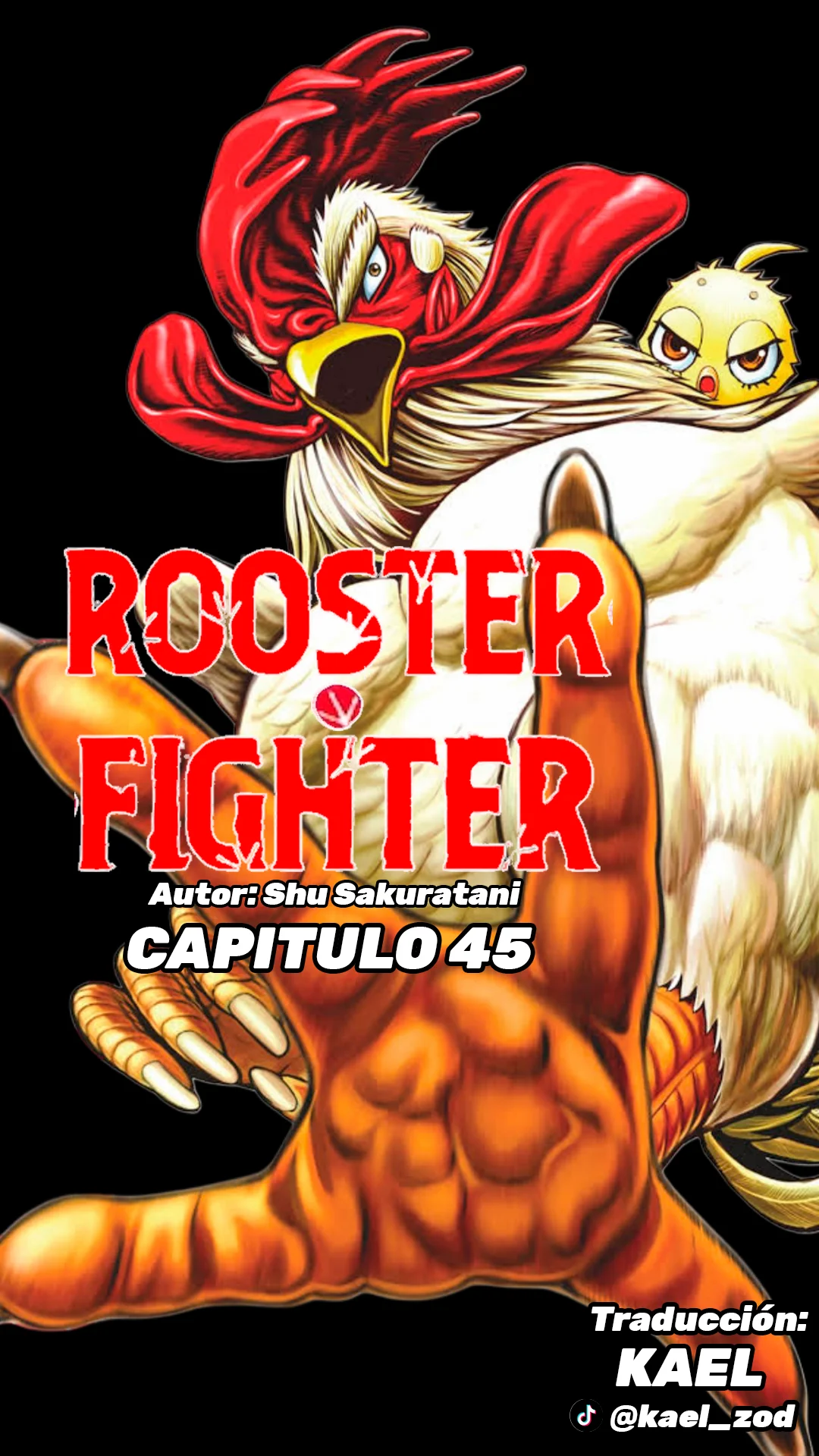 Niwatori Fighter Capítulo 45 - Page 2