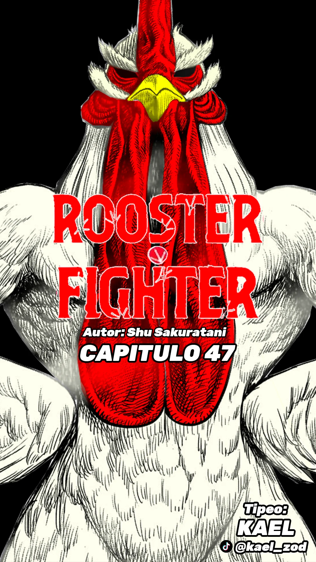 Niwatori Fighter Capítulo 47 - Page 5