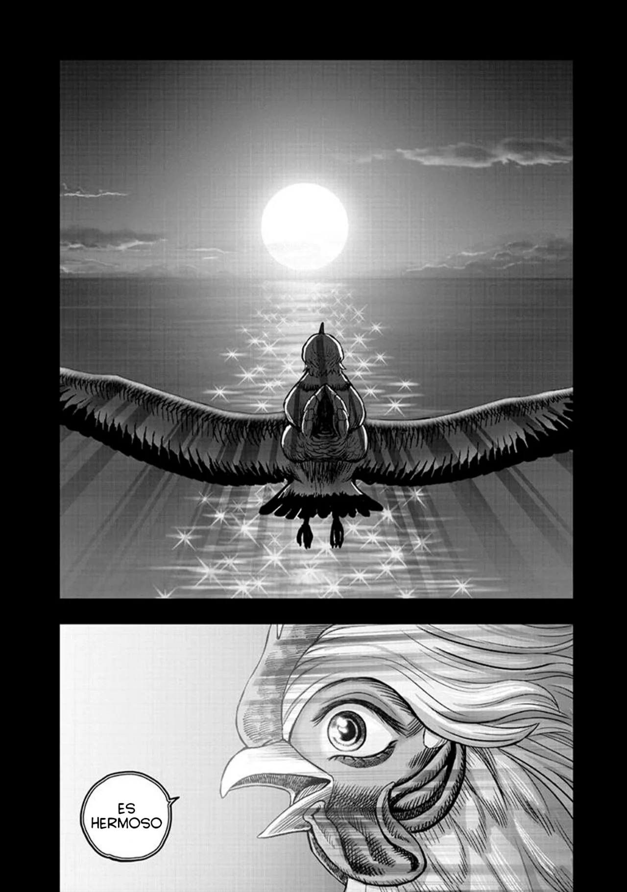 Niwatori Fighter Capítulo 51 - Page 44