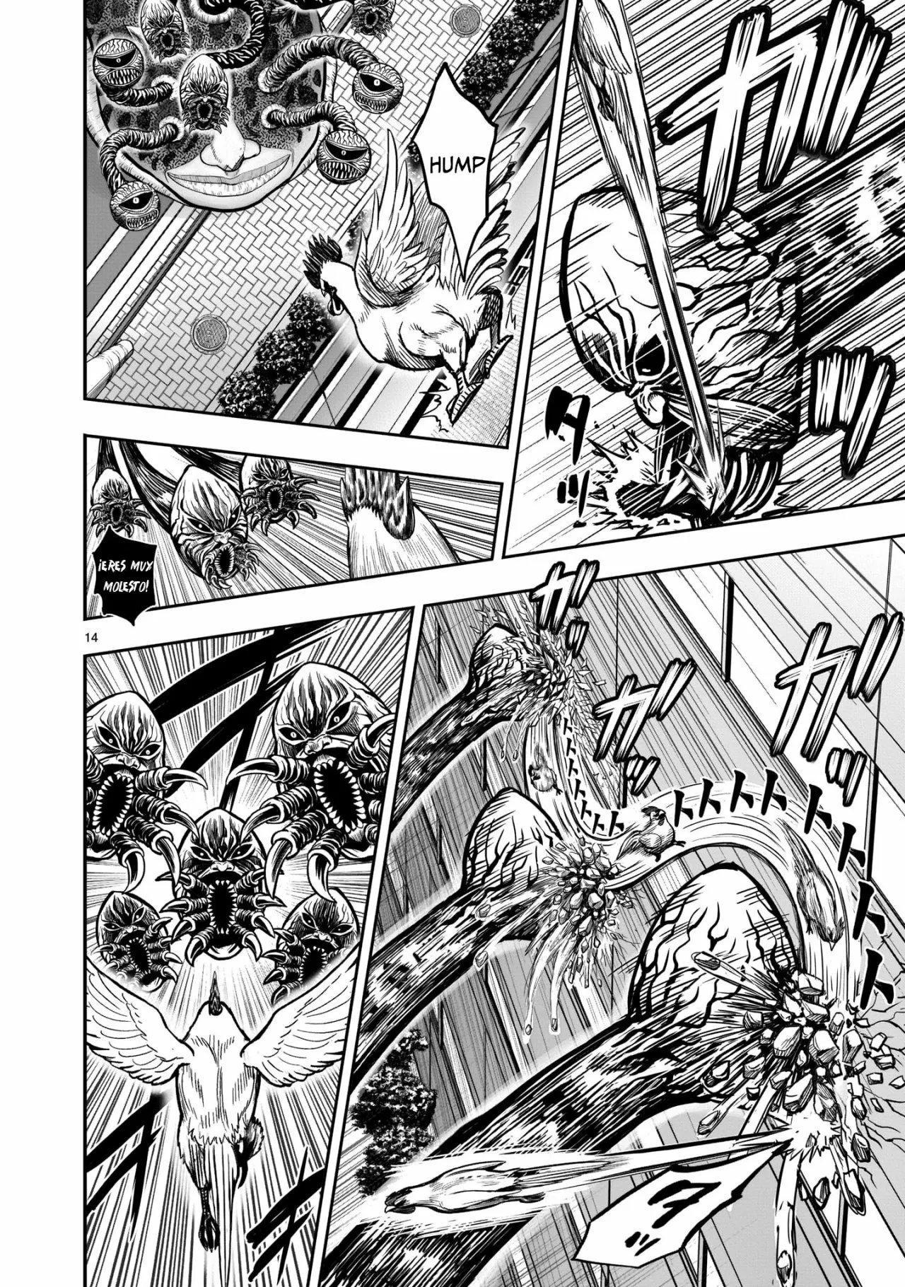 Niwatori Fighter Capítulo 6 - Page 16