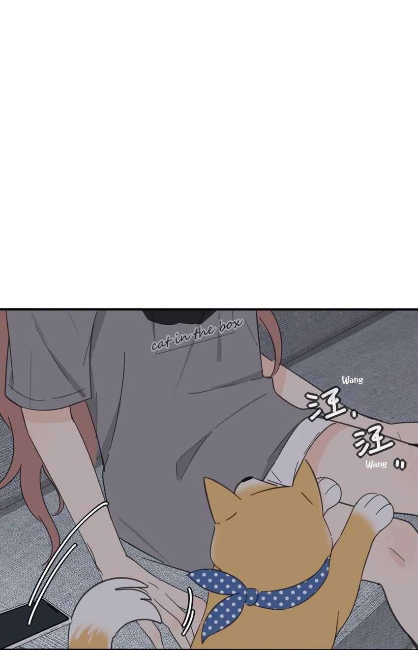 Baili Jin entre los mortales Capítulo 164 - Page 17