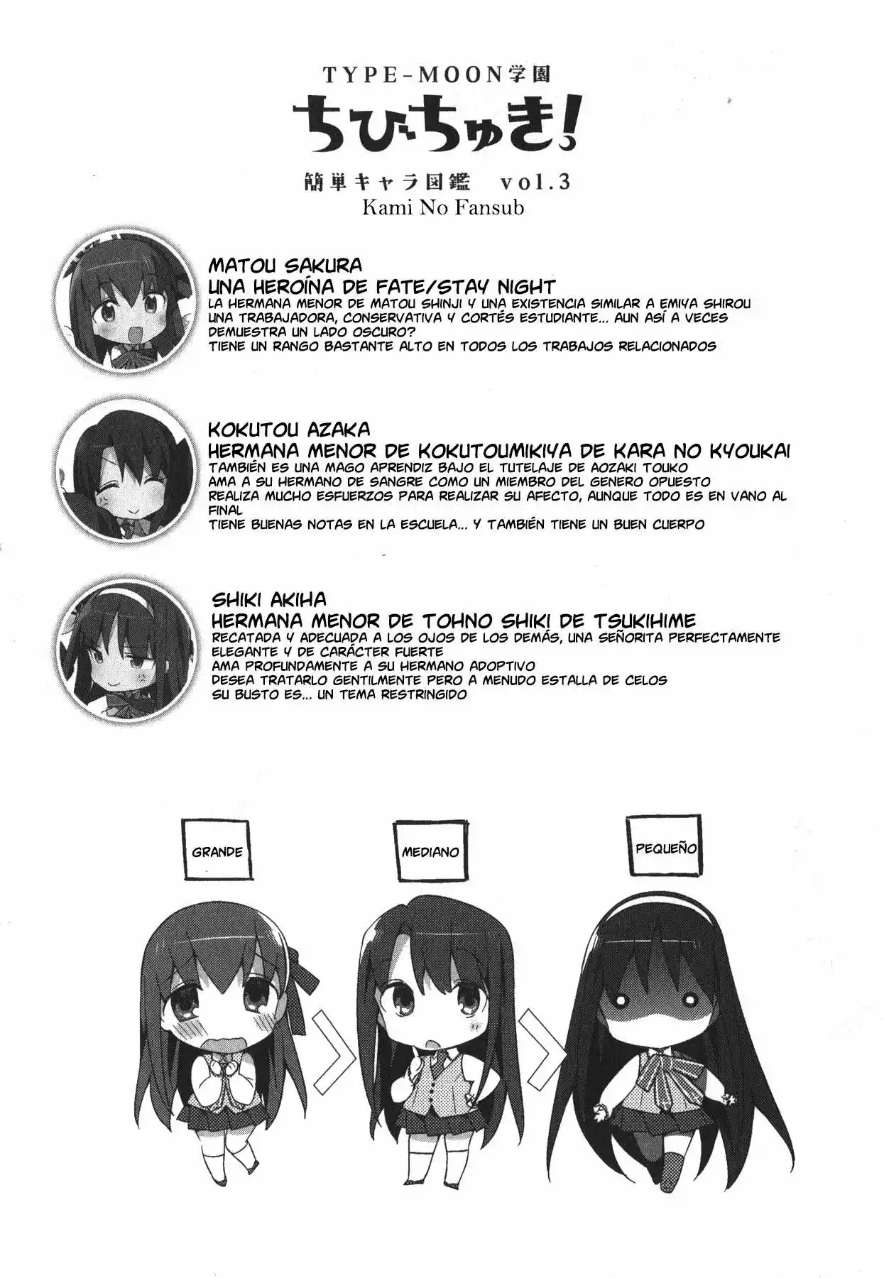 Type-Moon Gakuen – Chibi Chuki! Capítulo 2 - Page 19
