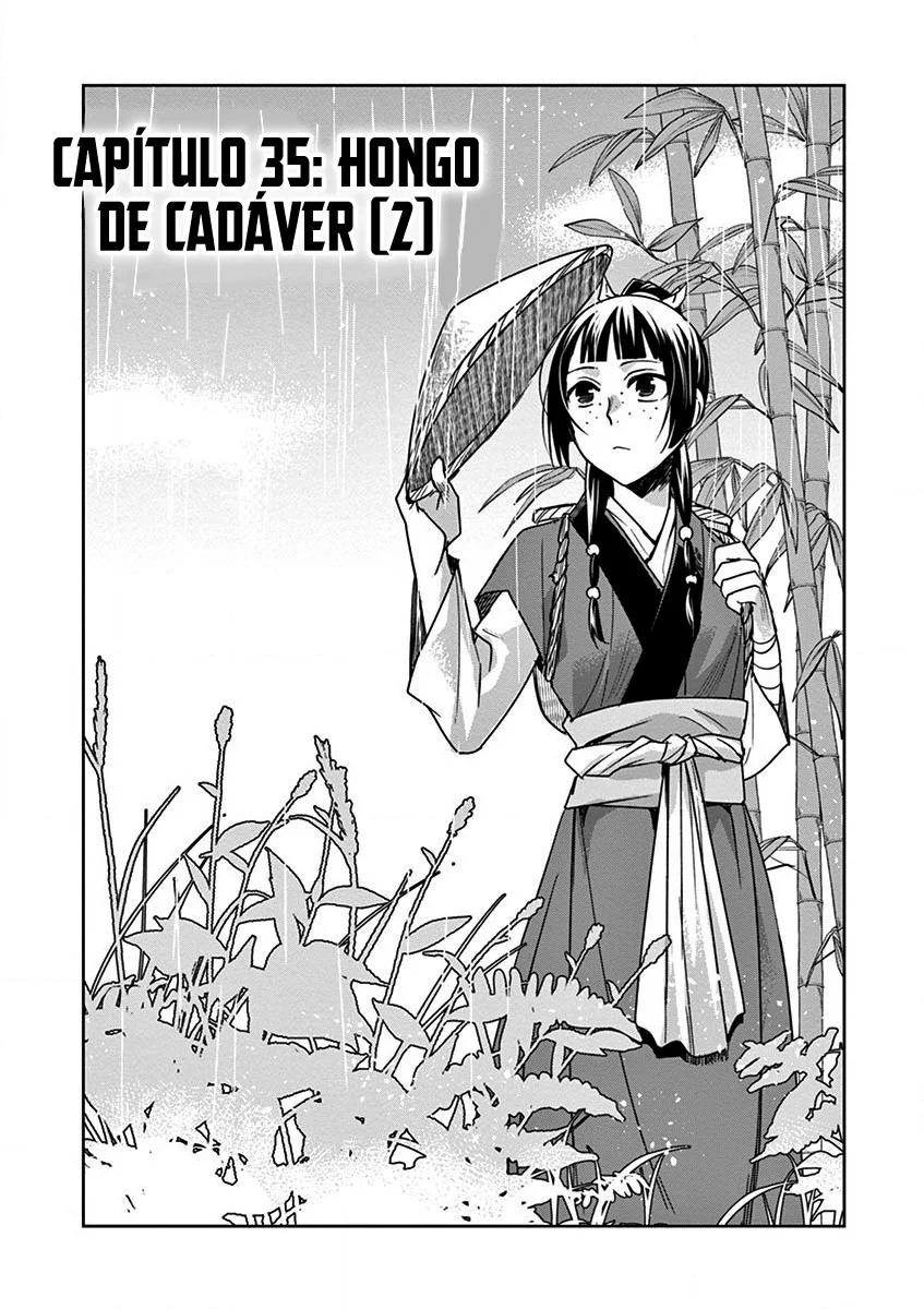 Los Diarios de la Boticaria. – El Diario de los Misterios del Palacio Interior de MaoMao. Capítulo 35 - Page 8