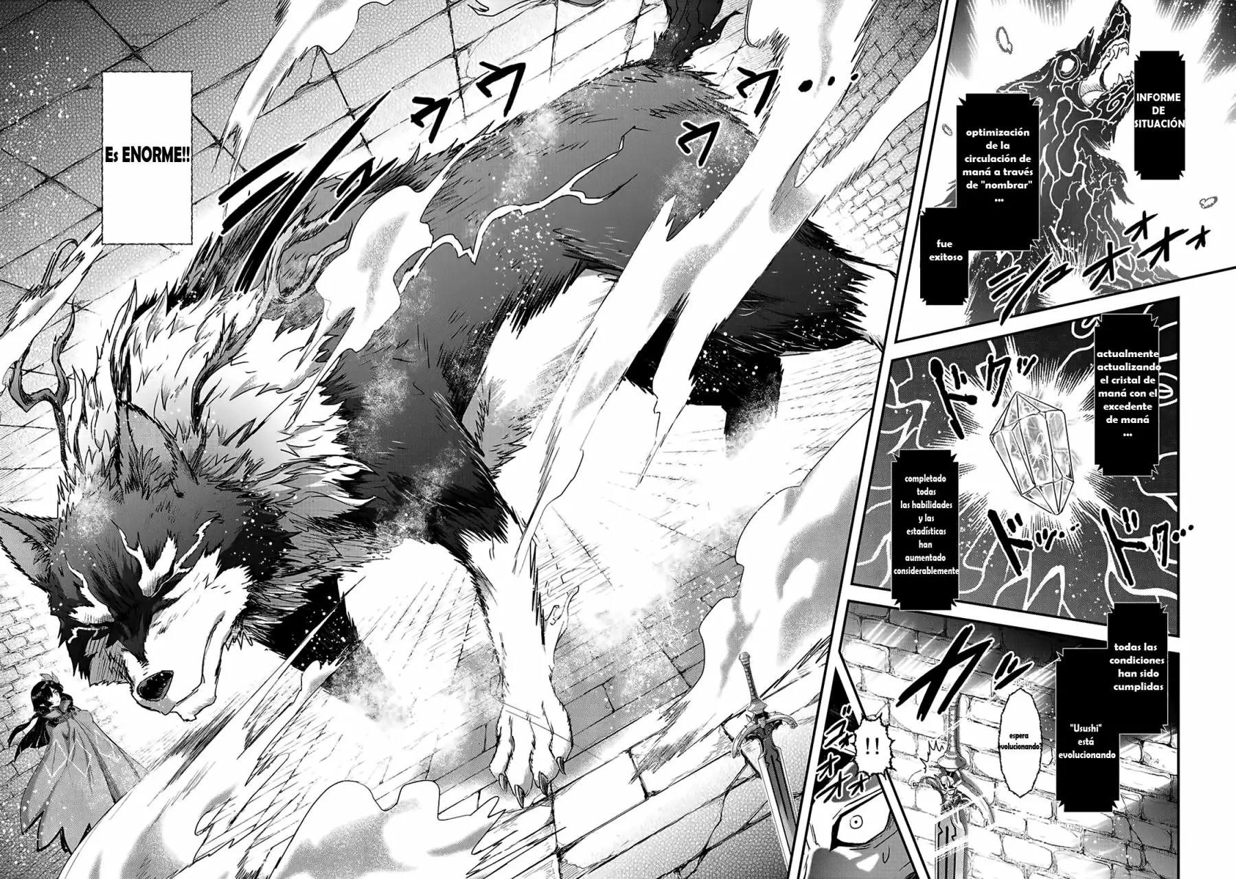 Tensei Shitara Ken Deshita Capítulo 22.2 - Page 10