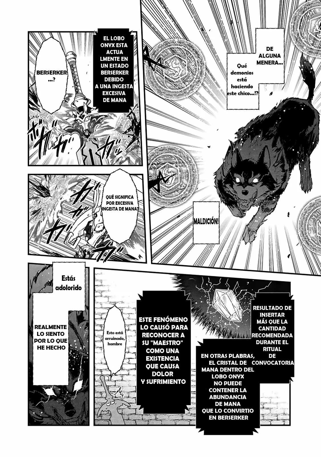 Tensei Shitara Ken Deshita Capítulo 22.2 - Page 5