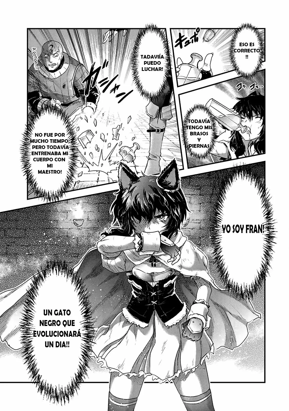 Tensei Shitara Ken Deshita Capítulo 23.1 - Page 8