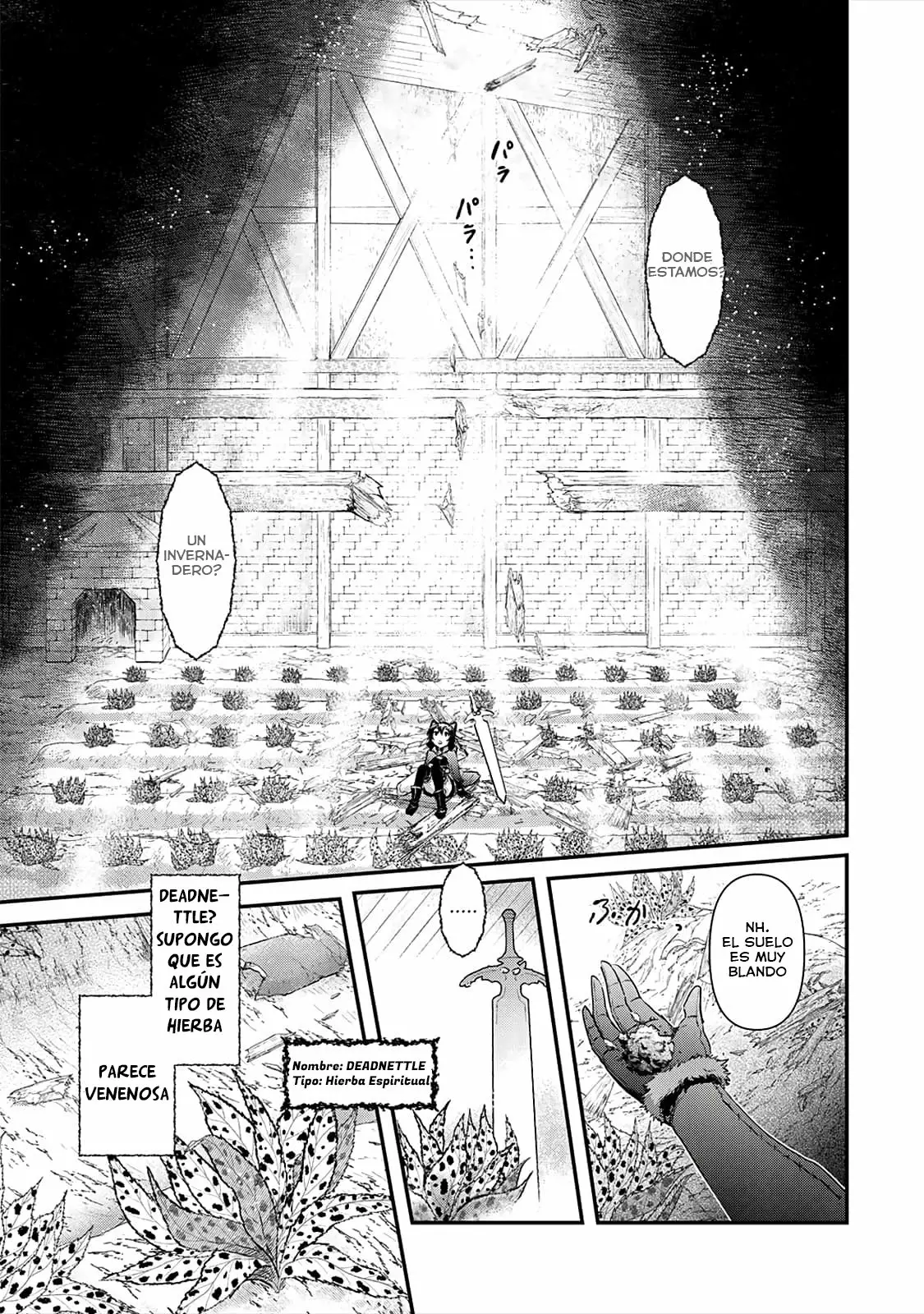 Tensei Shitara Ken Deshita Capítulo 29 - Page 23