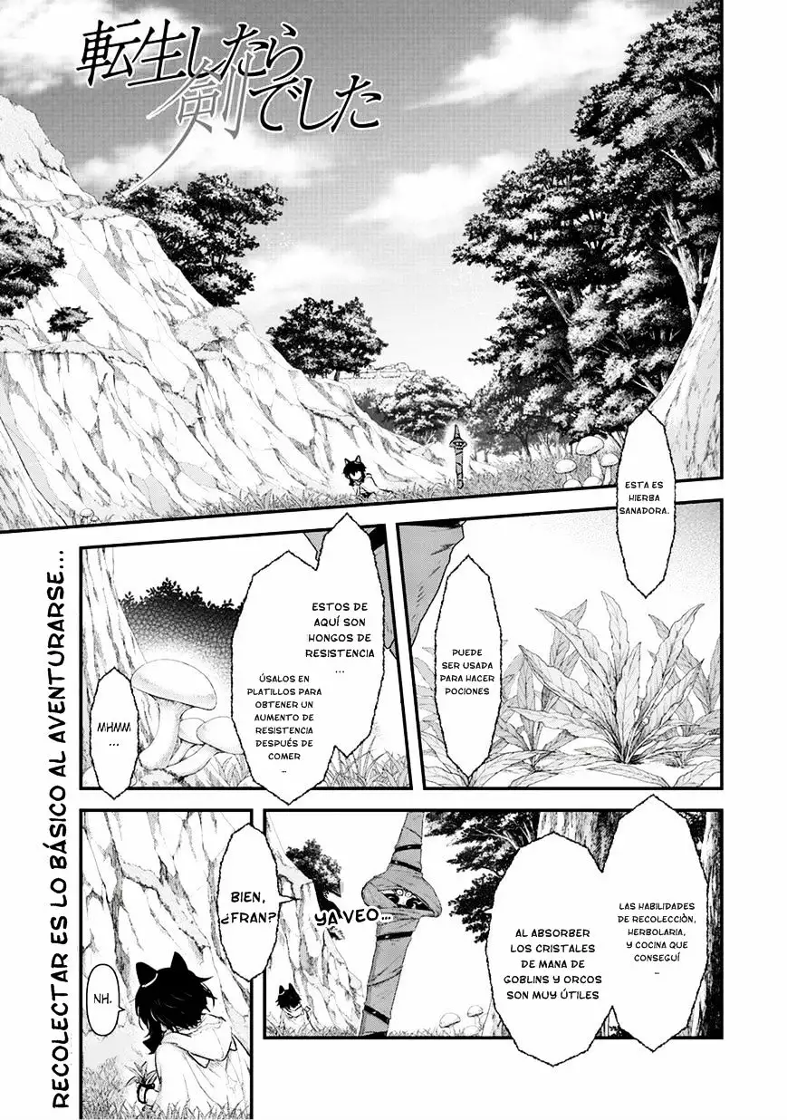 Tensei Shitara Ken Deshita Capítulo 8 - Page 2