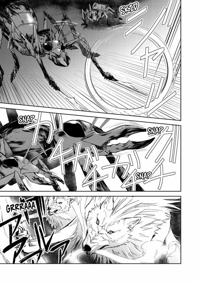 Isekai ni Otosareta… Jouka wa Kihon! Capítulo 10 - Page 15