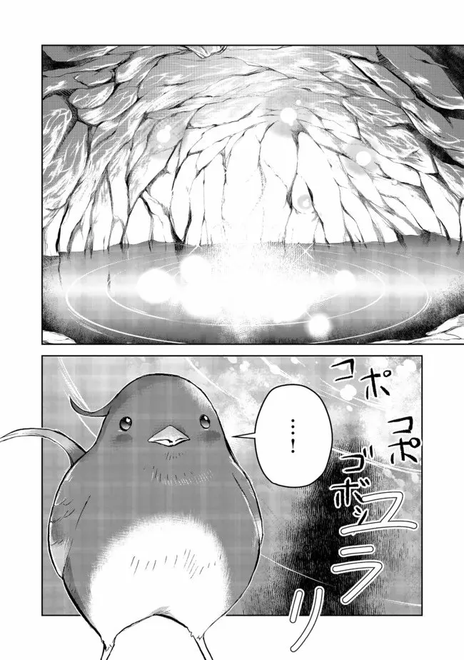 Isekai ni Otosareta… Jouka wa Kihon! Capítulo 12 - Page 33