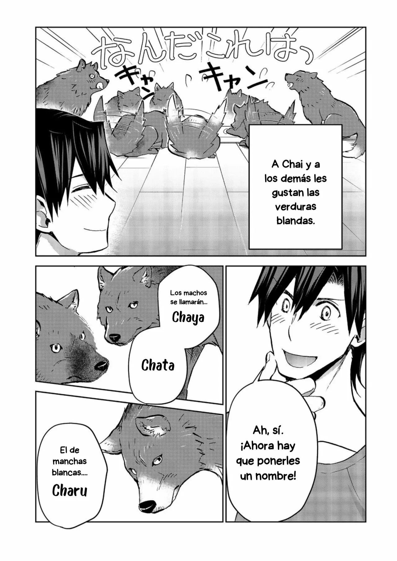 Isekai ni Otosareta… Jouka wa Kihon! Capítulo 17 - Page 11