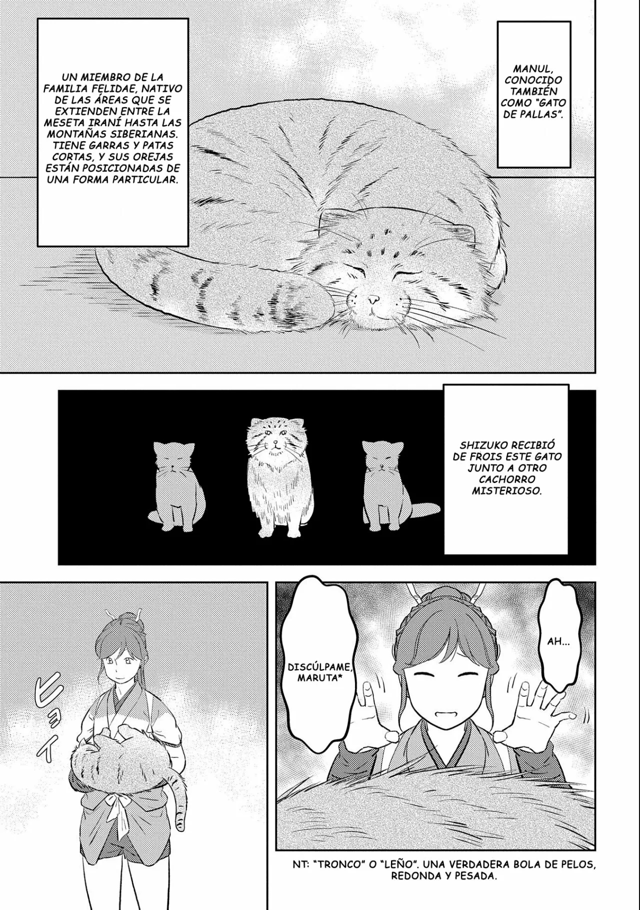 Sengoku Komachi Kuroutan: Noukou Giga Capítulo 57 - Page 13