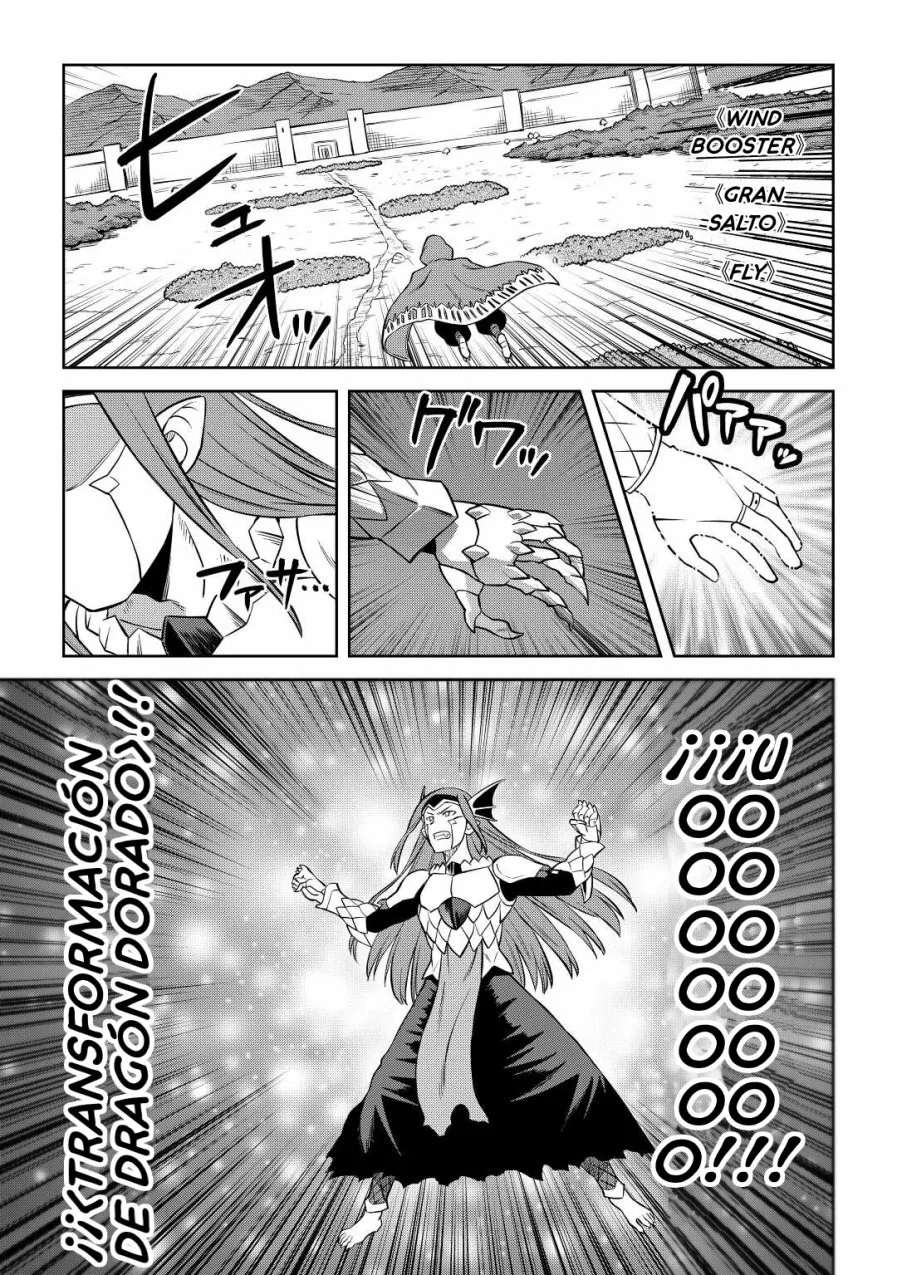 To aru Ossan no VRMMO Katsudouki Capítulo 86 - Page 13