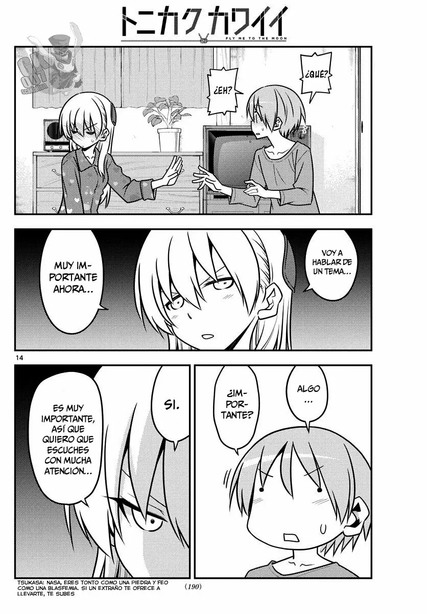 Tonikaku Kawaii Capítulo 135 - Page 15