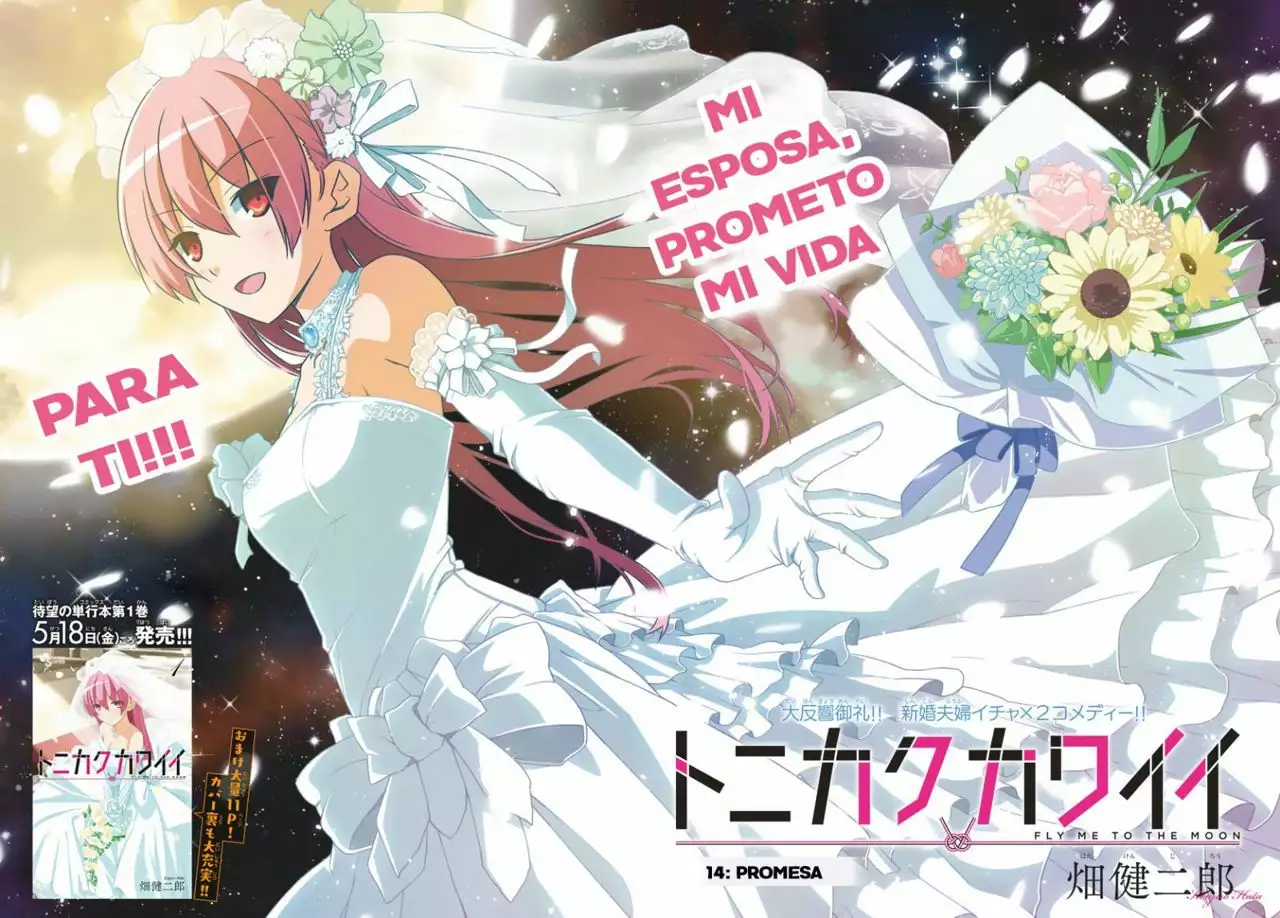 Tonikaku Kawaii Capítulo 14 - Page 3