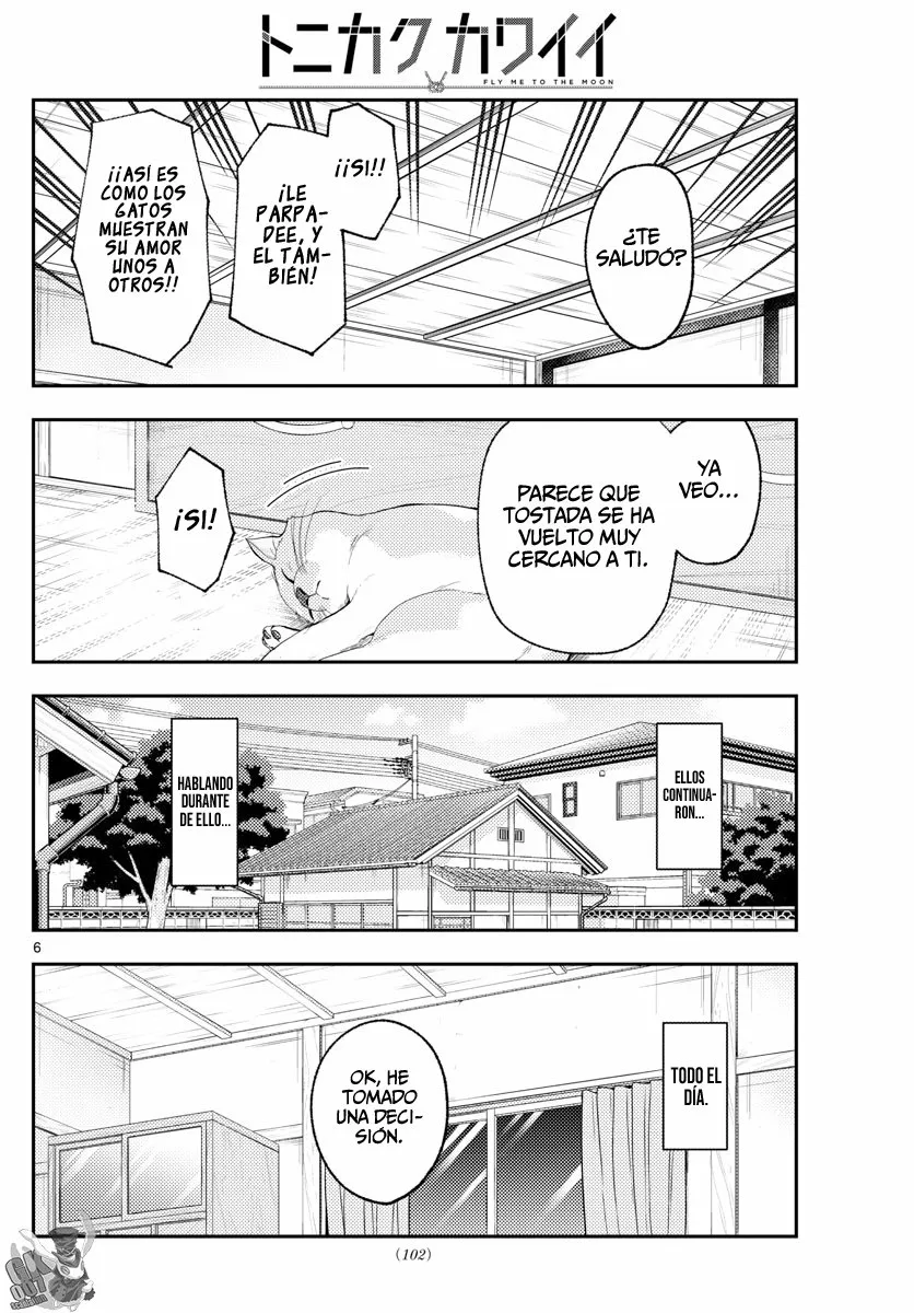 Tonikaku Kawaii Capítulo 172 - Page 8