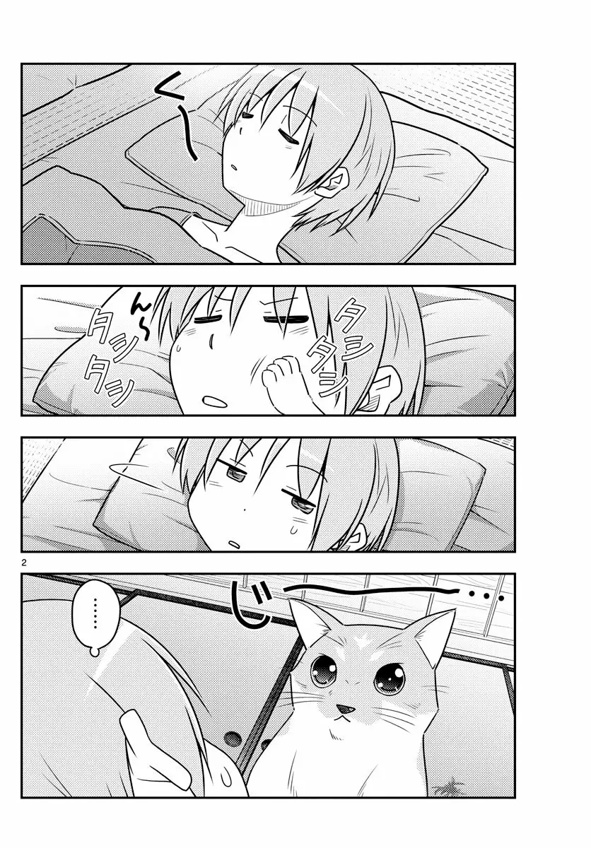 Tonikaku Kawaii Capítulo 52 - Page 3