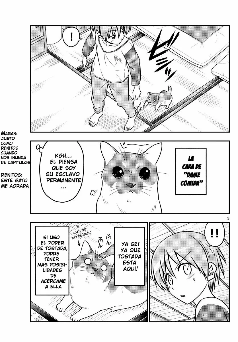 Tonikaku Kawaii Capítulo 53 - Page 4