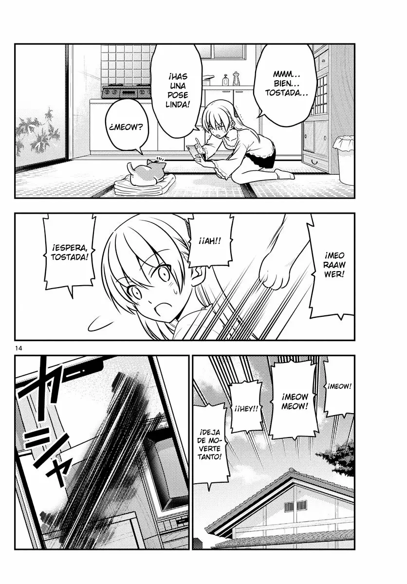 Tonikaku Kawaii Capítulo 59 - Page 15