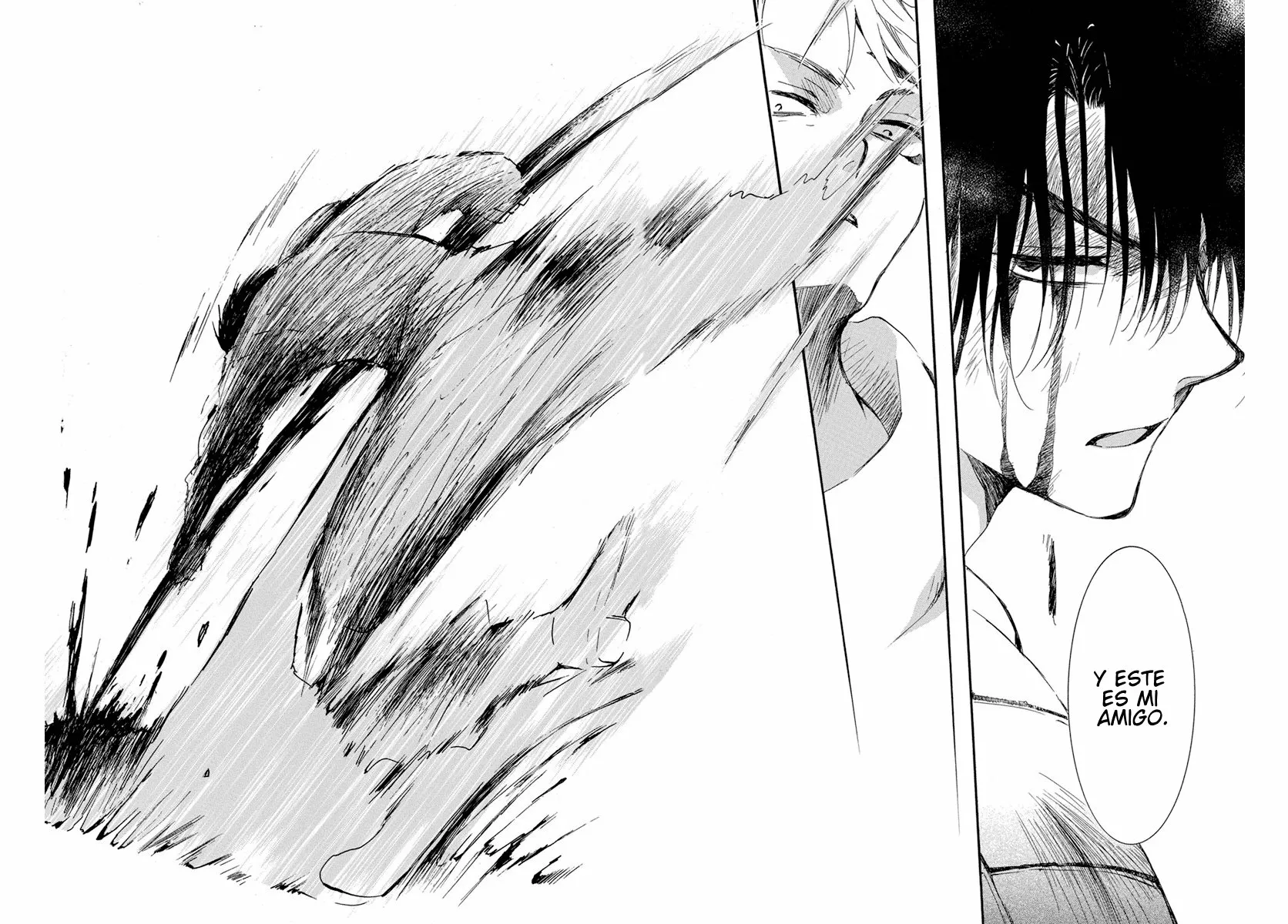 Akatsuki no Yona Capítulo 223 - Page 29