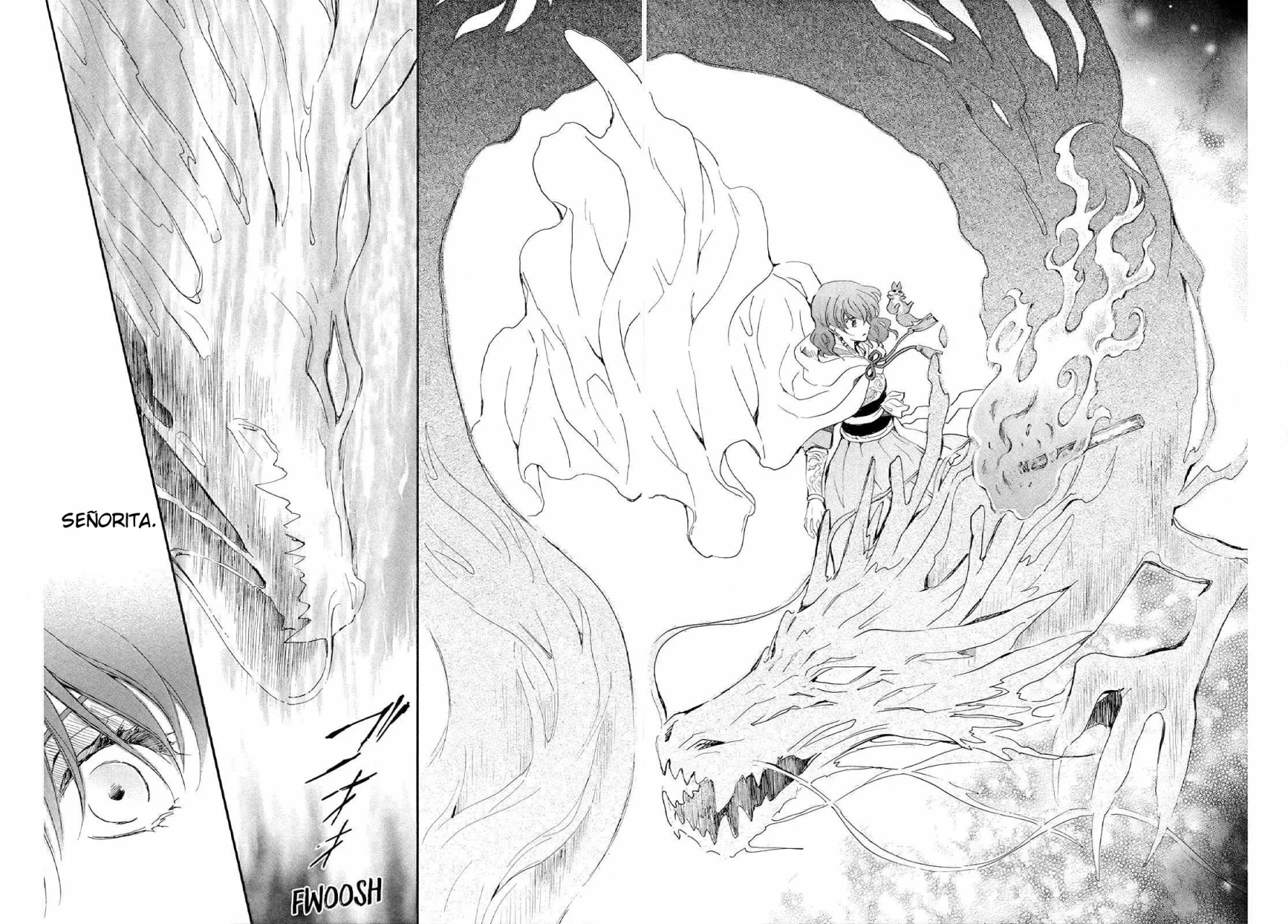Akatsuki no Yona Capítulo 246 - Page 27