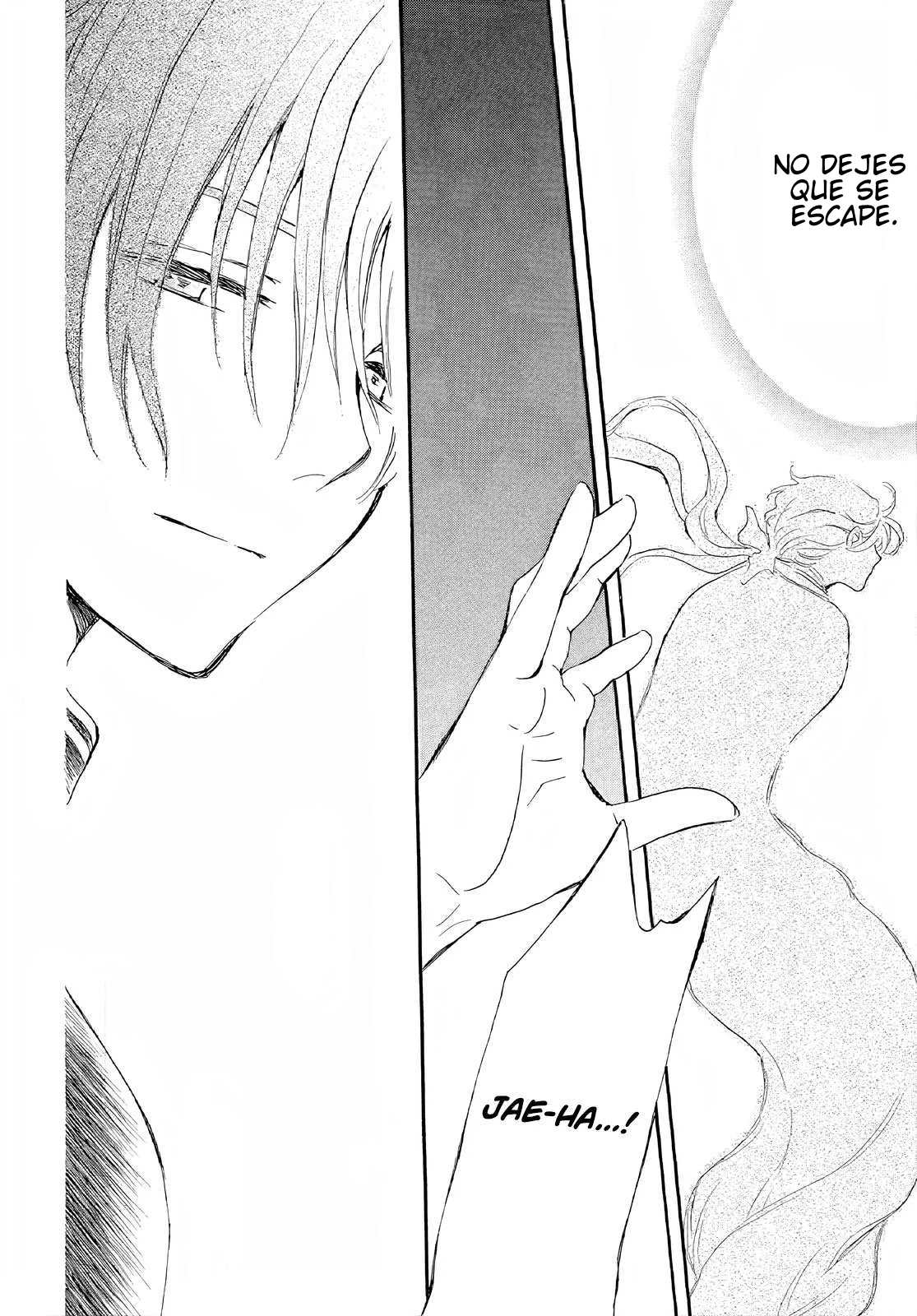 Akatsuki no Yona Capítulo 246 - Page 28