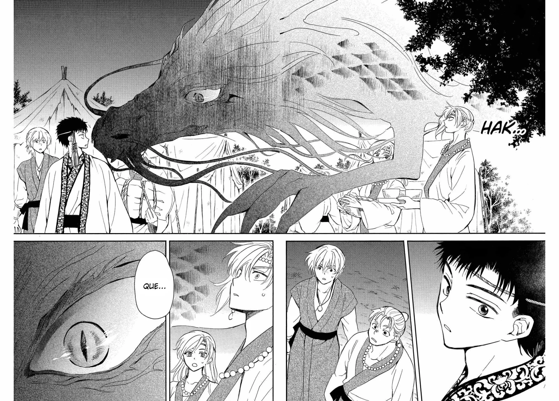 Akatsuki no Yona Capítulo 248 - Page 13