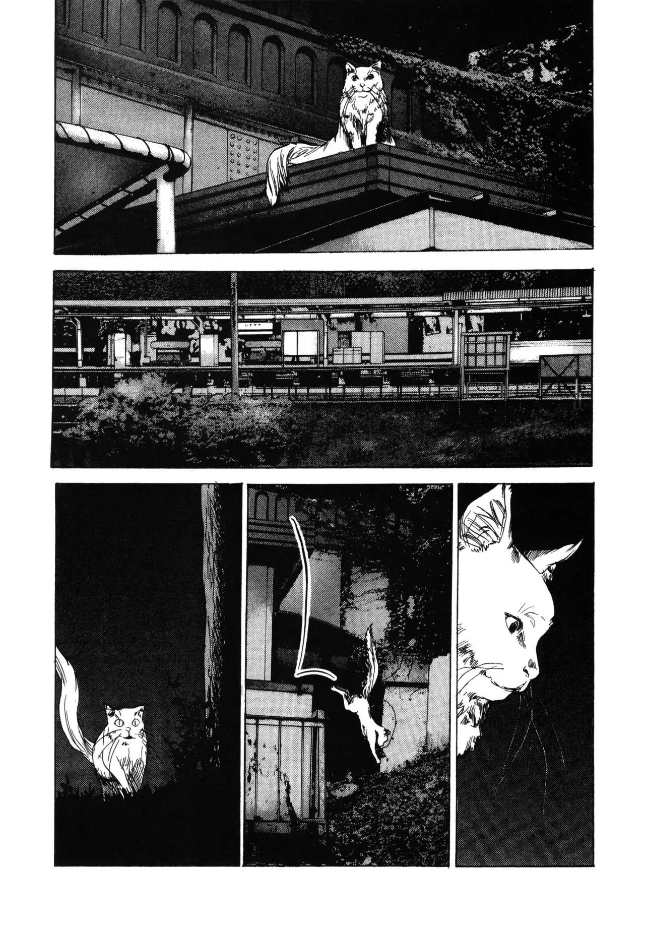 Daydream – español Capítulo 13 - Page 21