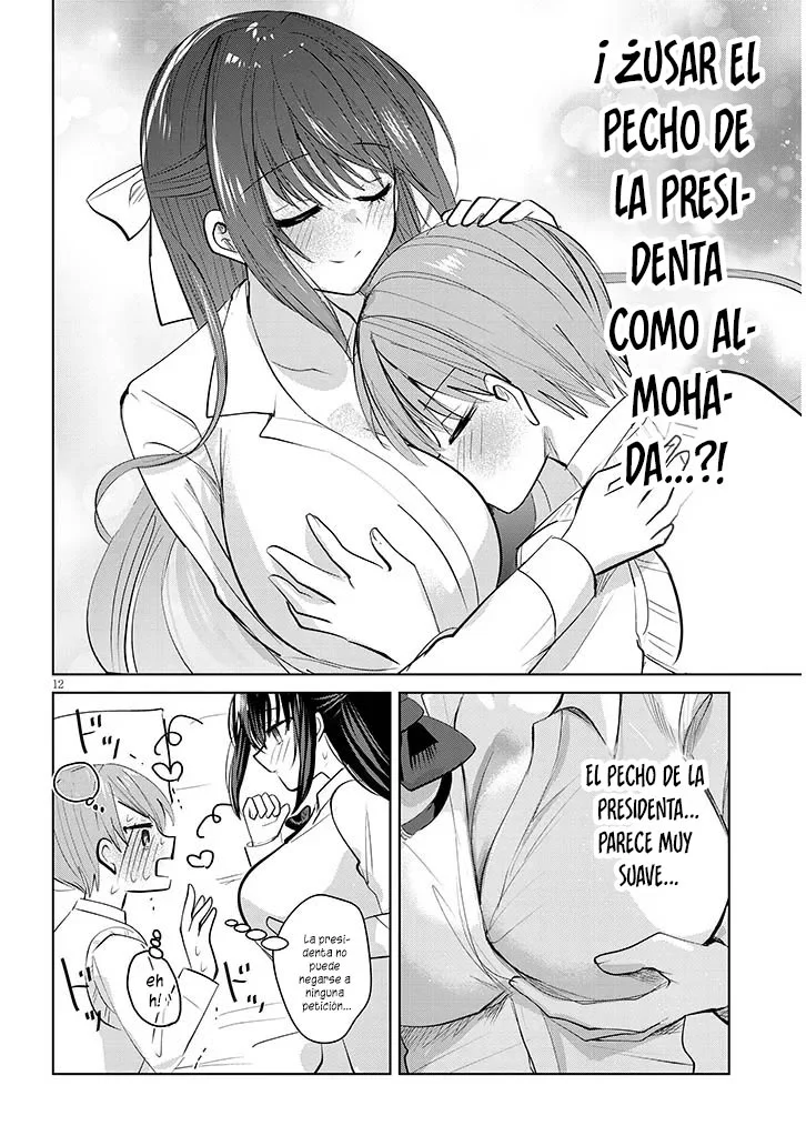 Kotowarenai Kaichou wa Tomoe-kun ni dake Shite Agetai Capítulo 2 - Page 16
