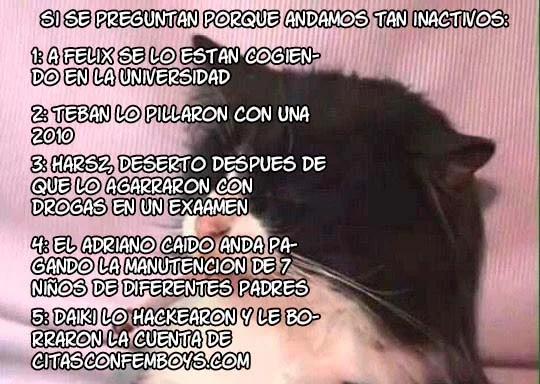 Ore no Level Up ga Okashii!: Dekiru Otoko no Isekai Tensei Capítulo 22 - Page 19