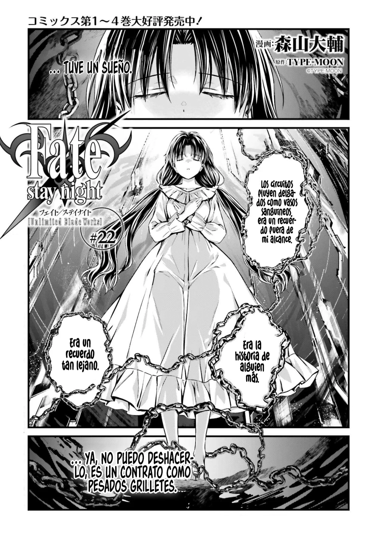 Fate/stay night: Unlimited Blade Works Capítulo 22.1 - Page 3
