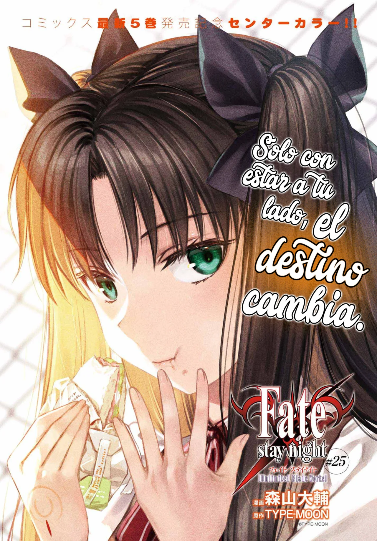 Fate/stay night: Unlimited Blade Works Capítulo 25 - Page 3