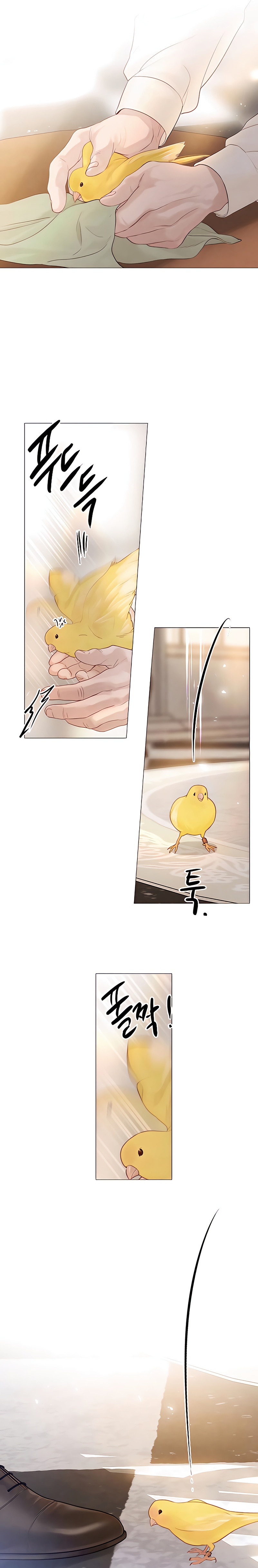 Llora, aunque es mejor si suplicas Capítulo 11 - Page 23