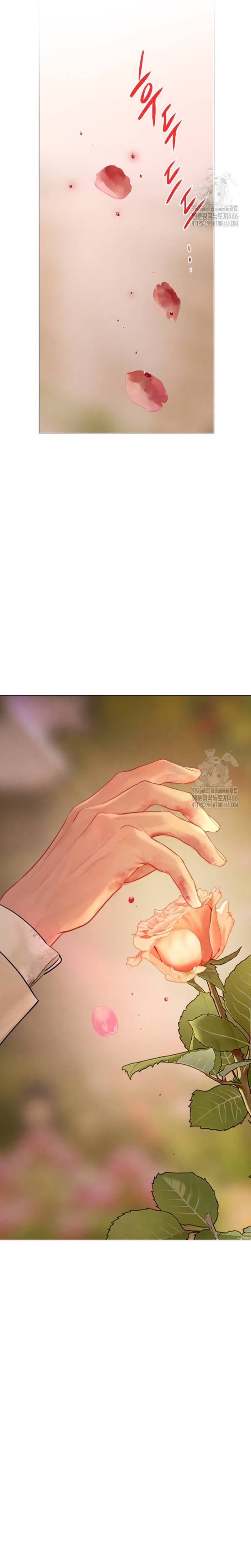 Llora, aunque es mejor si suplicas Capítulo 34 - Page 12