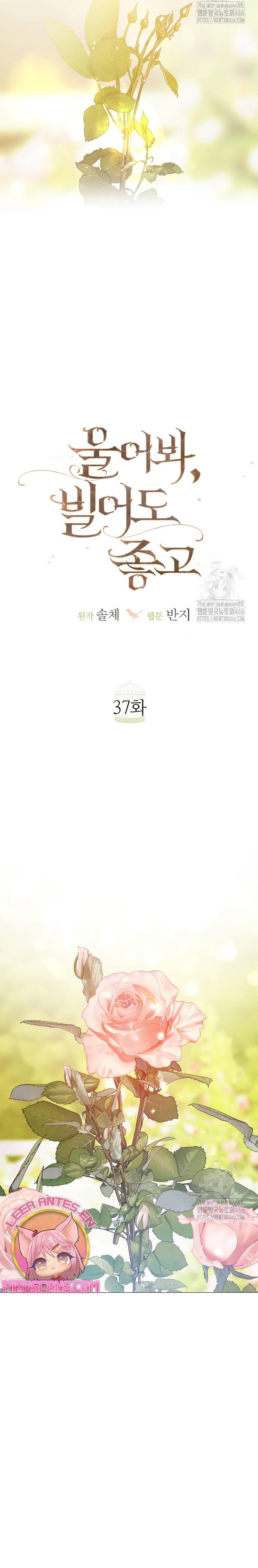 Llora, aunque es mejor si suplicas Capítulo 37 - Page 13