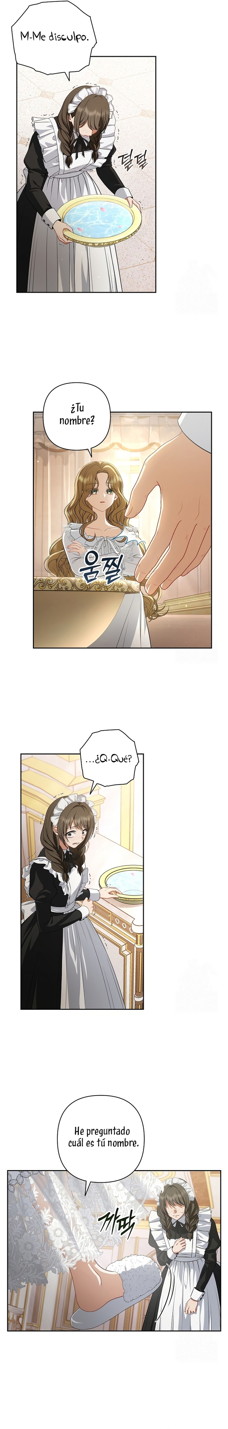 Entre espejos y recuerdos Capítulo 1 - Page 17