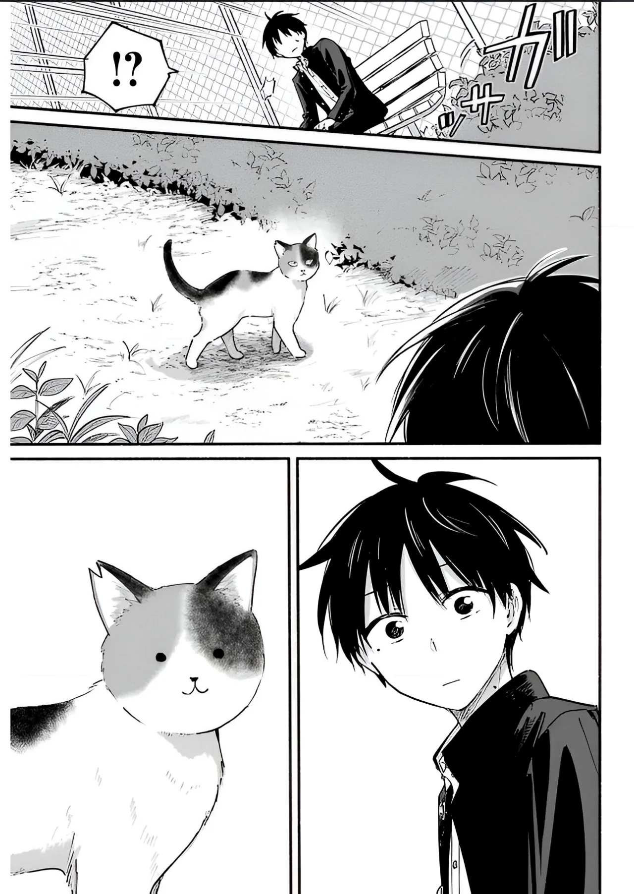 Tonari no Neko to Koi Shirazu Capítulo 14 - Page 19