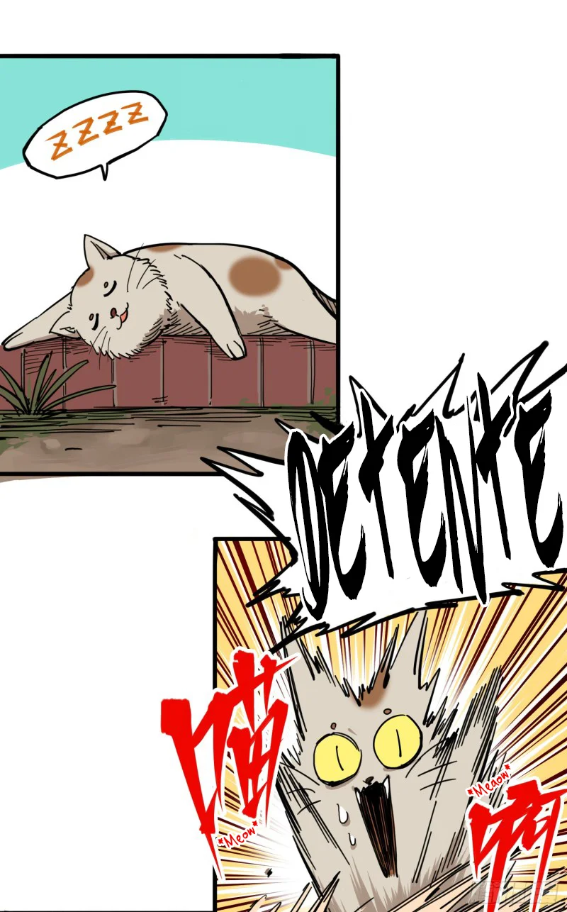 Scissor Seven: Black and White Twin Dragons Capítulo 32 - Page 15