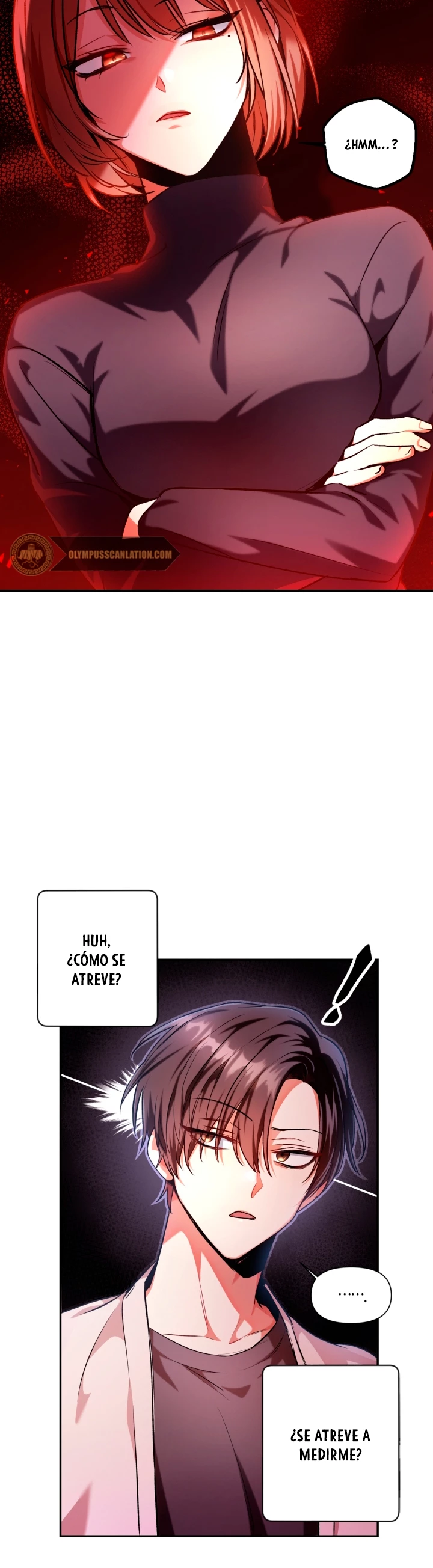 Manual de instrucciones del Reencarnado Capítulo 4 - Page 13