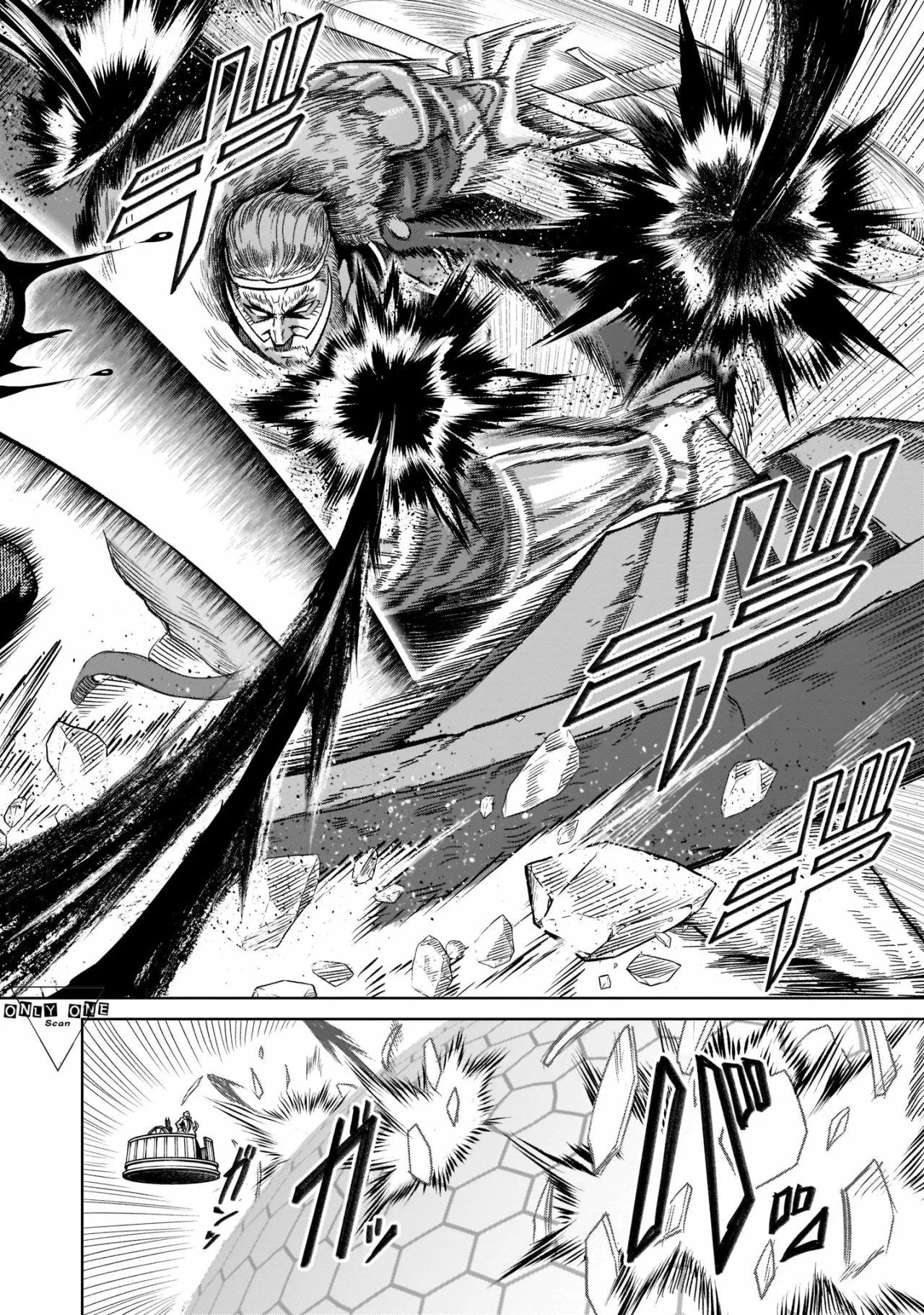 Rosen Garten Saga Capítulo 27 - Page 11