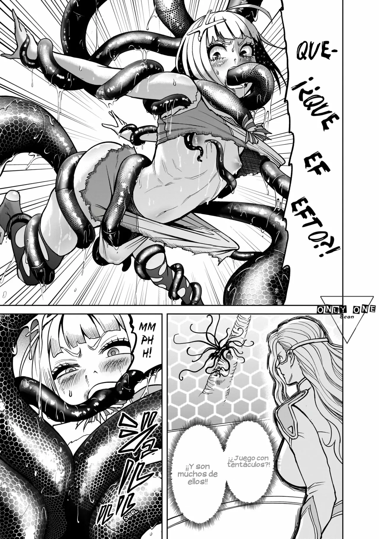 Rosen Garten Saga Capítulo 38 - Page 16