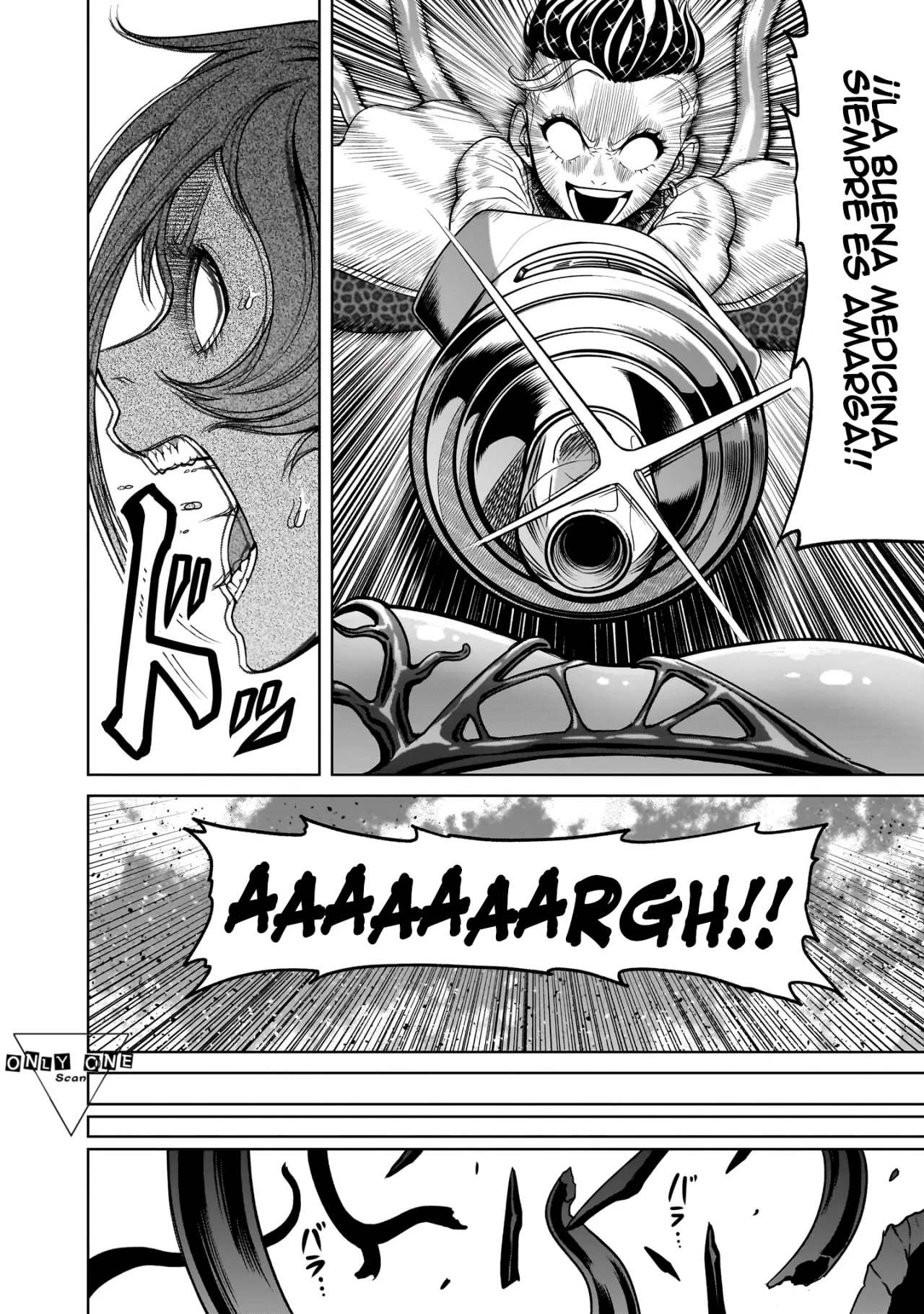Rosen Garten Saga Capítulo 39 - Page 11